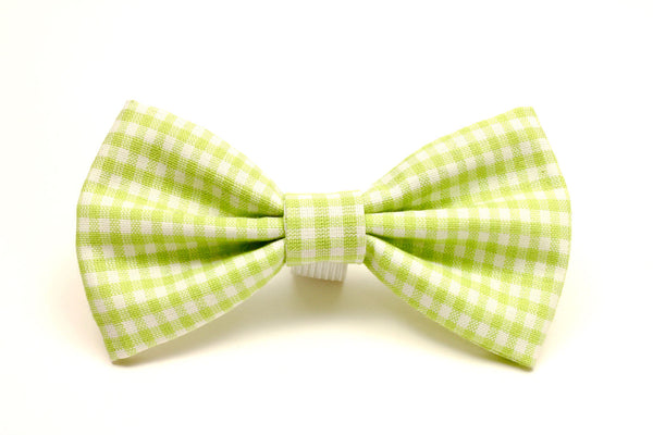 Bright Green Gingham Dog Bow Tie